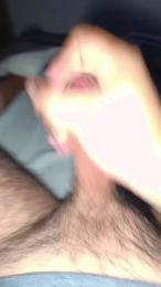 Wildandfreeee27 webcam model stream image