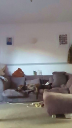 Looklookxxx webcam model stream image