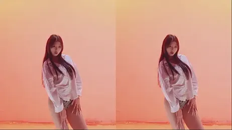 SSF-888 webcam model stream image