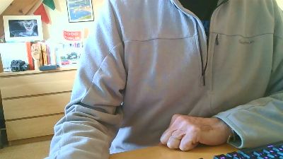 pilsanet webcam model stream image