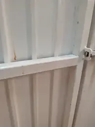 Lic_Morboso webcam model stream image