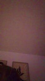 Lolax30 webcam model stream image