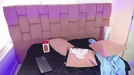 ParisRice webcam model stream image
