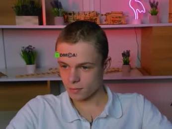 veldi_to webcam model stream image