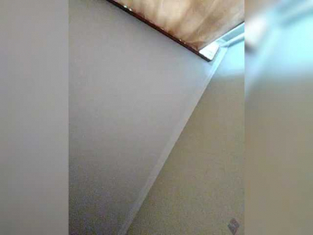LiSA69-mur webcam model stream image