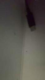 Dyskiz webcam model stream image