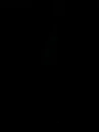 qazpqp webcam stripchat model stream image