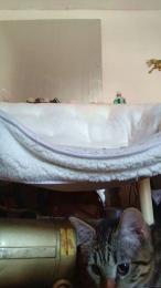 Starsquirt79 webcam model stream image