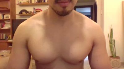 Fernnet webcam model stream image