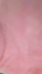 maxence83 webcam model stream image