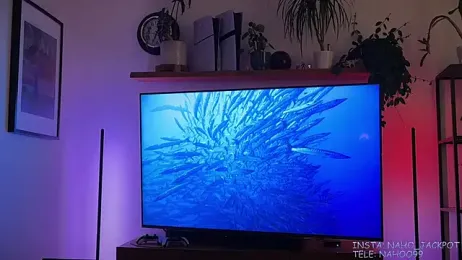 Passion-Frucht webcam model stream image