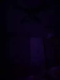 devinshd webcam model stream image