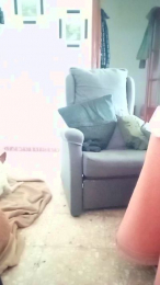 abelpunk webcam model stream image