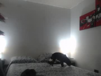 camila_bigcock_ts webcam model stream image