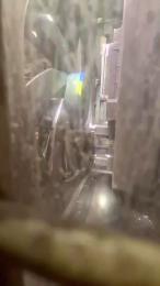 grantega1976 webcam cam4 model stream image