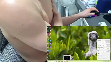 koreanboy2341 webcam stripchat model stream image