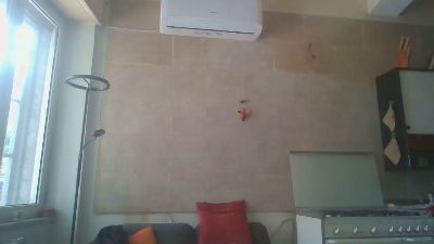 HardyLilCock webcam model stream image