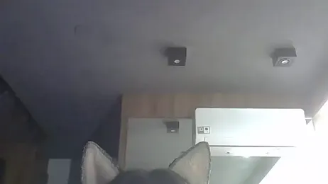 SkinnyKitten webcam model stream image