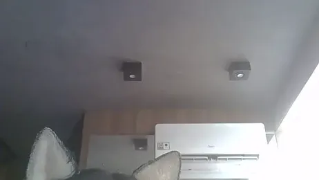 SkinnyKitten webcam model stream image