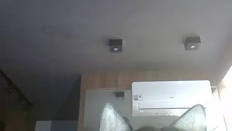 SkinnyKitten webcam stripchat model stream image