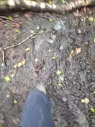 FreezingTie850 webcam stripchat model stream image