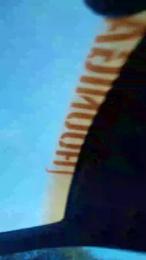 pollypeach webcam model stream image