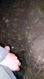 pollypeach webcam model stream image