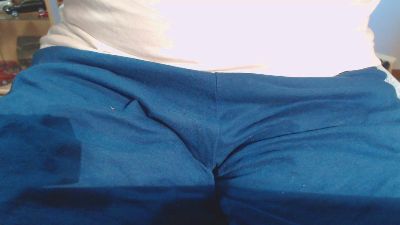Linienpiilot webcam model stream image