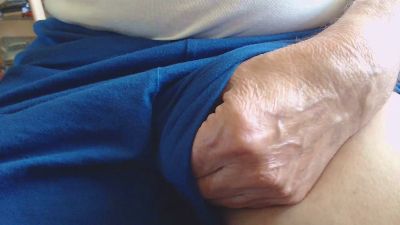 Linienpiilot webcam model stream image