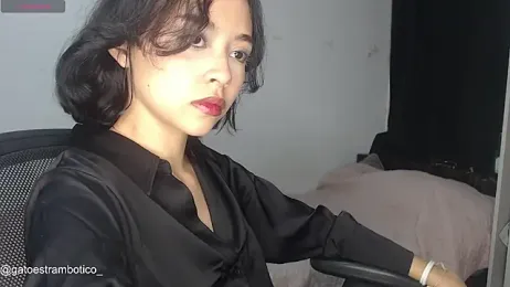 brisazanes webcam model stream image