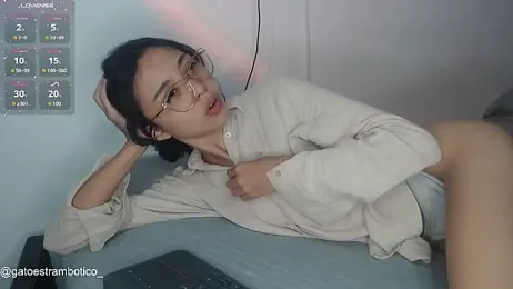 brisazanes webcam model stream image