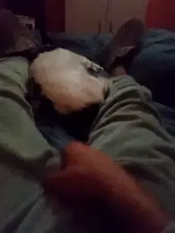 AMOyPUTA webcam model stream image