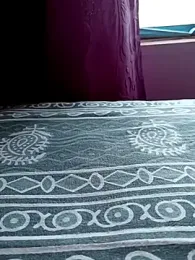 Mini865433 webcam model stream image