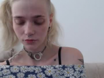 brookewylde_20 webcam model stream image