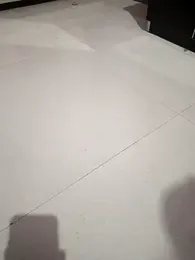 notyg240 webcam stripchat model stream image