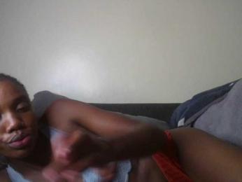 BBQ-Fluid webcam model stream image