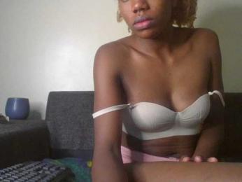 BBQ-Fluid webcam model stream image