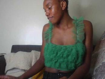 BBQ-Fluid webcam model stream image