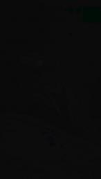 Ninahot91 webcam model stream image