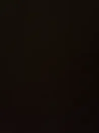 Lili_trans webcam model stream image