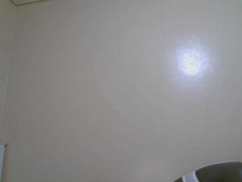 Petitelv webcam model stream image