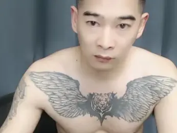 saigege webcam model stream image