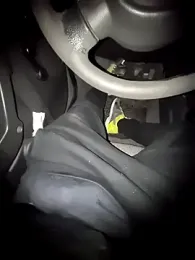 BISX-24 webcam model stream image