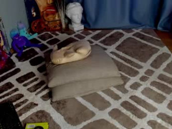 pepperage webcam model stream image