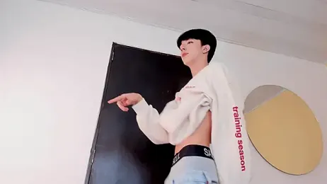 AerumChae webcam model stream image