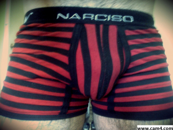 max22steel webcam model stream image