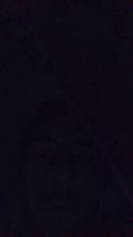 evelyn5 webcam model stream image