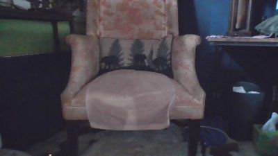 paintermanfatc webcam model stream image
