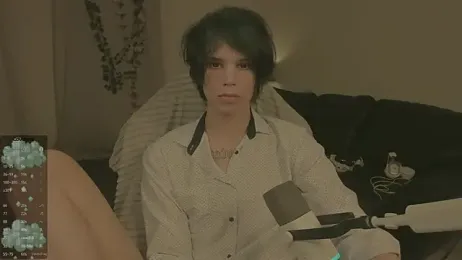 Wampeyes webcam model stream image