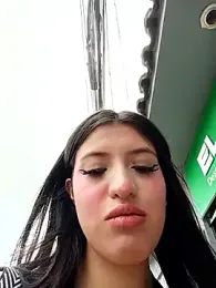 SALOME-28_ webcam model stream image